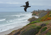 North County Real Estate Carlsbad CA cliffs by Chris Hunkeler