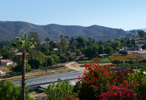 North San Diego County Real Estate Vista CA views and farms