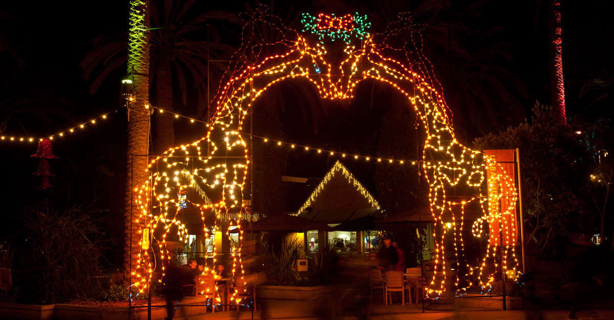 San Diego Holiday Lights