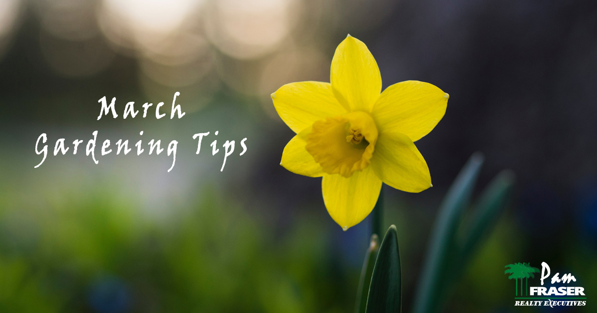 March Gardening Tips 2019