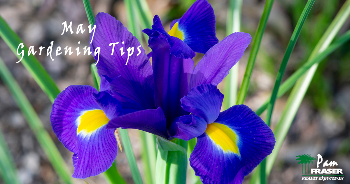 May Gardening Tips 2019