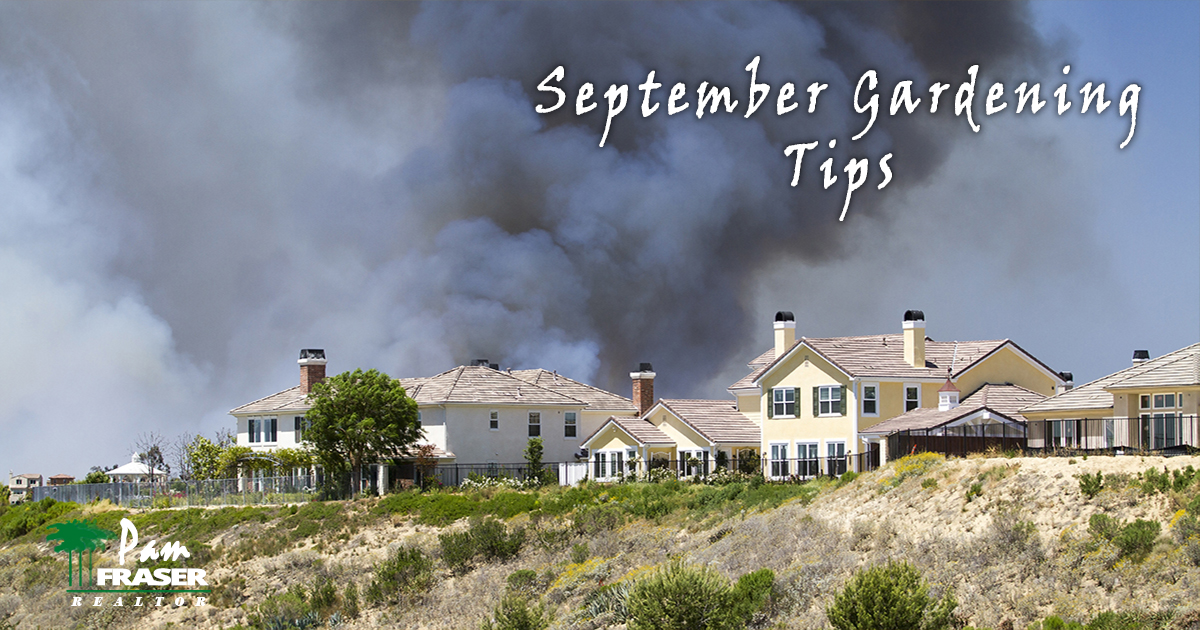 September Gardening Tips 2020 Fire behind Carlsbad homes