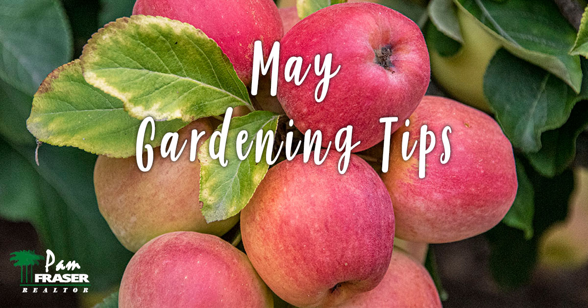 San Diego Garden Tips May 2022 Anna apples Pam Fraser