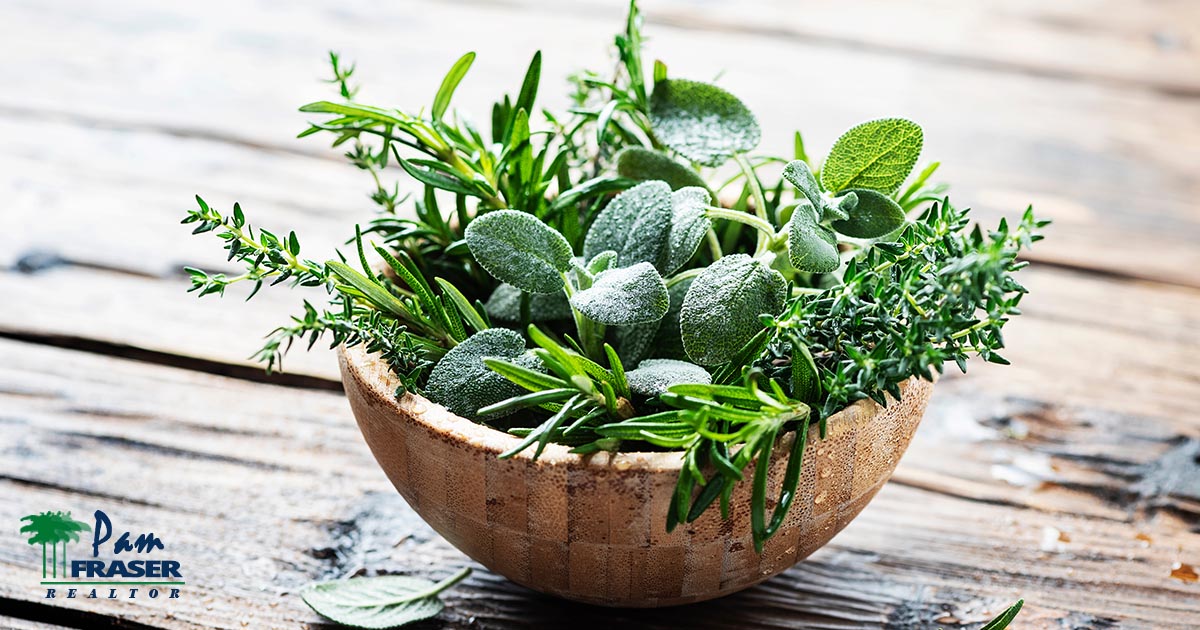 San Diego Garden Tips October 2022 Pam Fraser Realtor bowl of freshly cut rosemary, sage and thyme