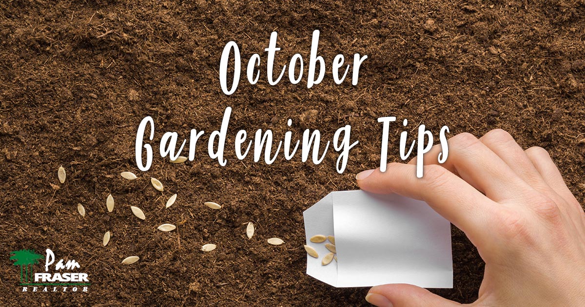 San Diego Garden Tips October 2022 Pam Fraser Realtor hand sprinkling seeds from a packet into soil