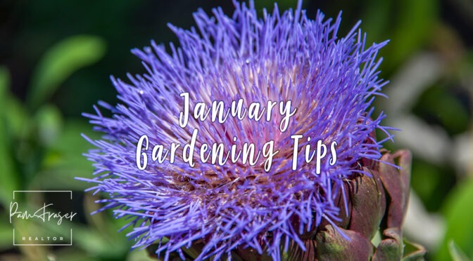 San Diego Gardens January 2026