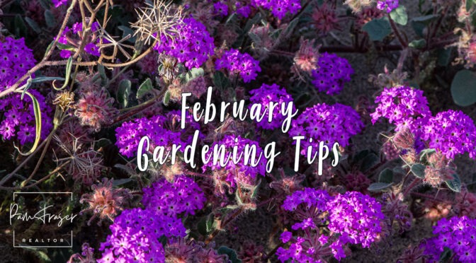 San Diego Gardens February 2026