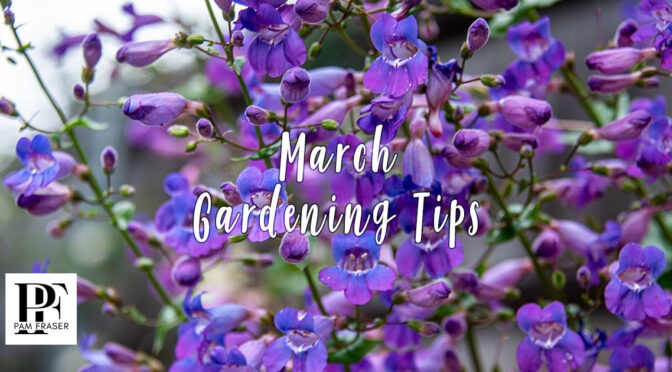 San Diego Gardens March 2026