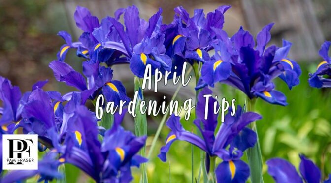 San Diego Gardens April 2026