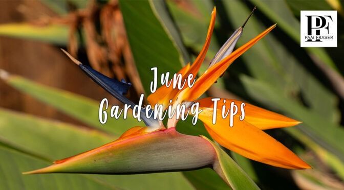 San Diego Gardens June 2026