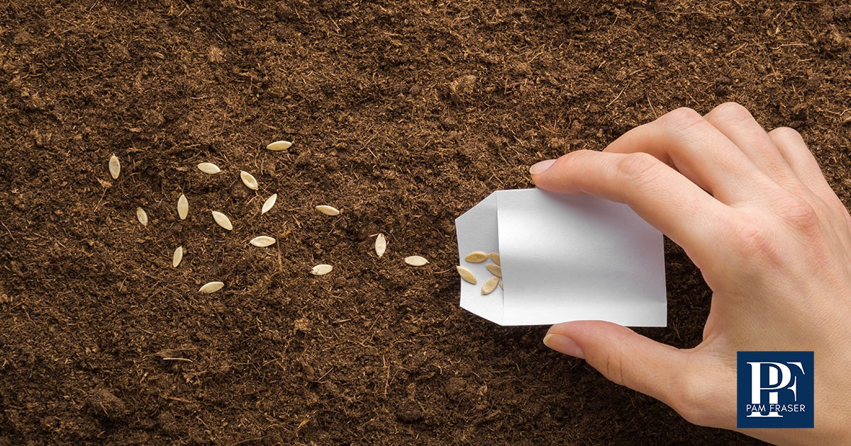Hand pouring vegetable seeds onto prepared garden soil