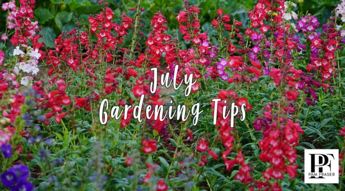 San Diego Gardens July 2026