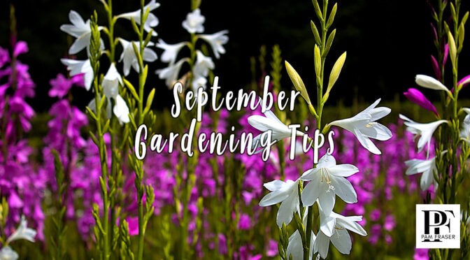 San Diego Gardens September 2026