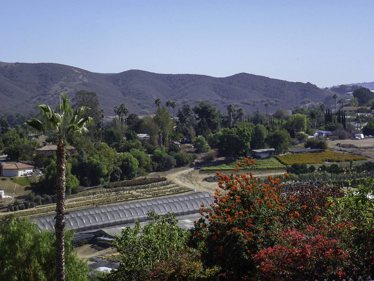 Hills and greenhouses in Vista, California