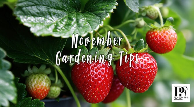 San Diego Gardens November 2026